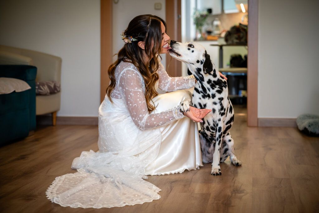 perros en bodas fotografo documental
