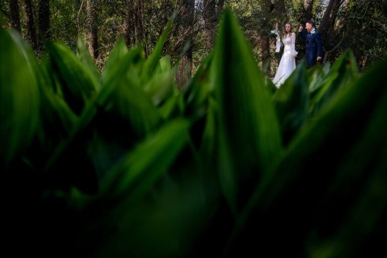 Boda en Convento de Sant Jeroni de Cotalba