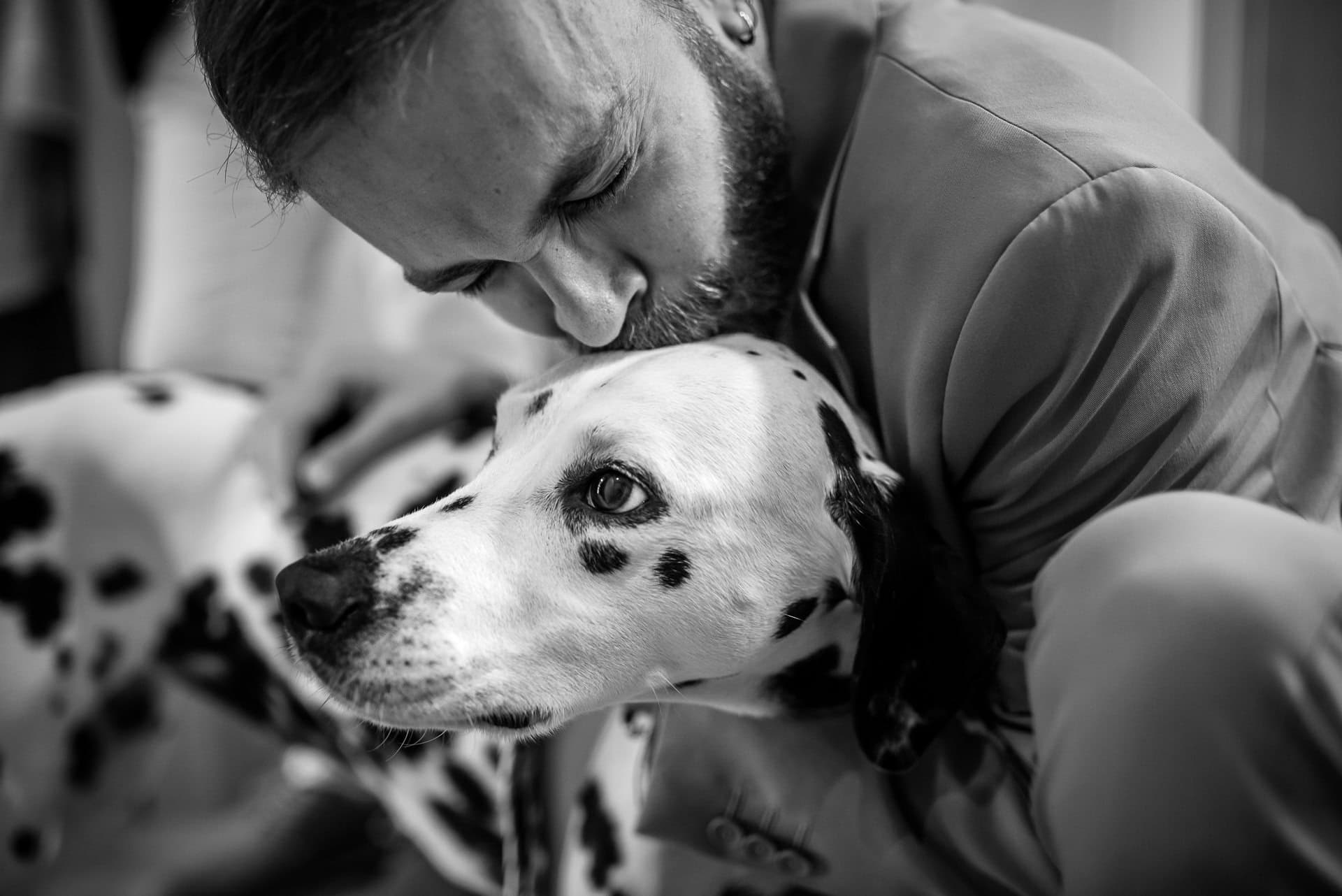 Mejores fotos documentales de boda 2024: un estilo diferente, atrevido y sin posados 59 perros en bodas fotografia emocional