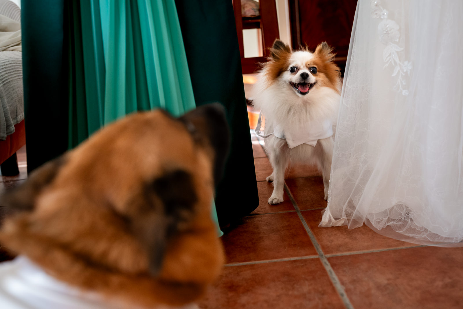 Fotógrafo de boda en Molí Nou (Beniflà, Valencia) | Reportaje documental 18 fotografo boda documental moli nou 013